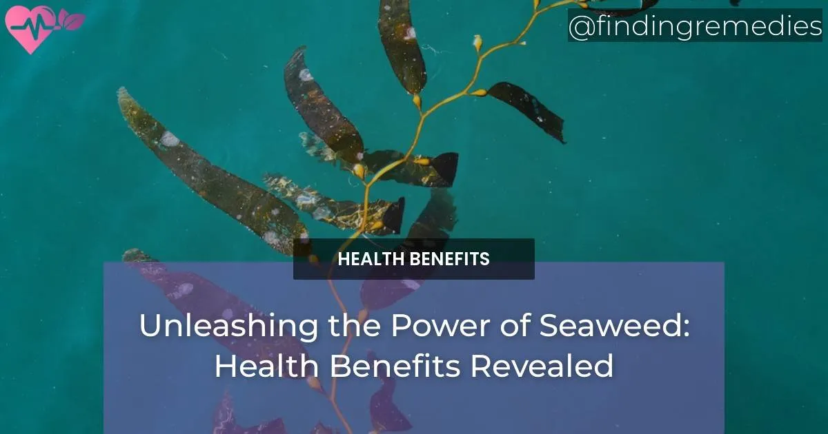 Unleashing the Power of Seaweed Health Benefits of Seaweed Revealed